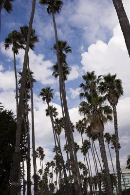 _MG_8145.jpg