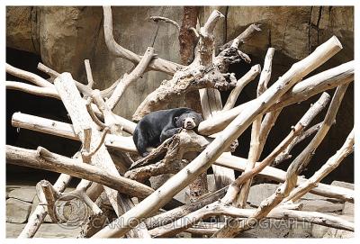 At the San Diego Zoo