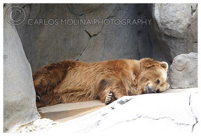 At the San Diego Zoo
