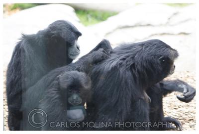 At the San Diego Zoo