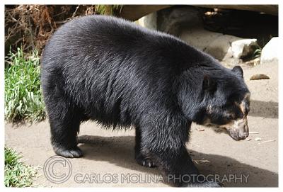 At the San Diego Zoo