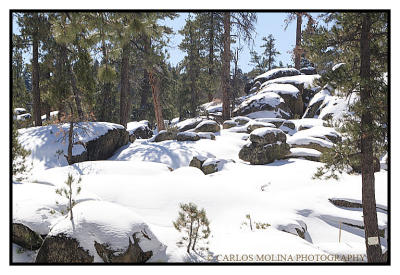 Big Bear - California