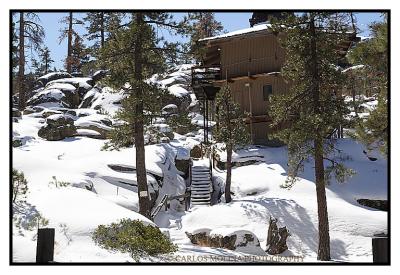 Big Bear - California