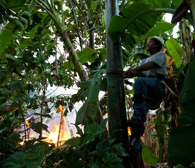 Climbing the power pole to cut the electrical line. IMG_1696.jpg