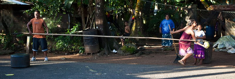 Across the street a very adept breadfruit collector. IMG_4217.jpg