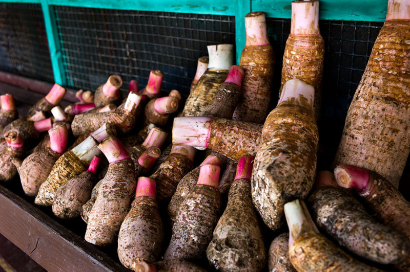 Taro at the local market. L1019304.jpg