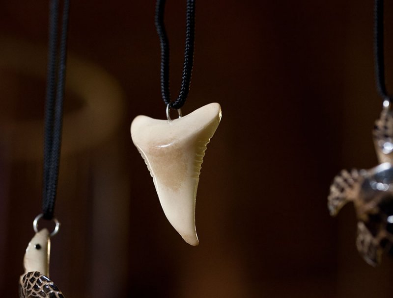 Sharks tooth carved from ivory nut. IMG_9334.jpg