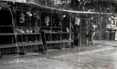 A typical tropical downpour on Pohnpie. A tuna being brought to Ellen's Market. L1018401.jpg