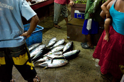 Tuna waiting for sale. L1019952.jpg