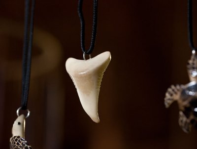 Shark's tooth carved from ivory nut. IMG_9334.jpg