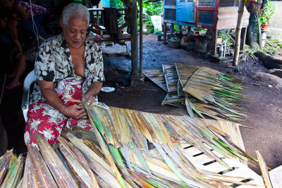 Preparing a new roof of local materials. IMG_9111.jpg