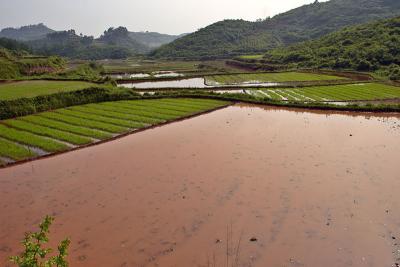 Recently plowed rice paddy.