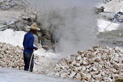 Hosing down lime but with little effect.