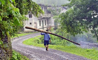 Hauling logs along a road in a village just below Da Tan.