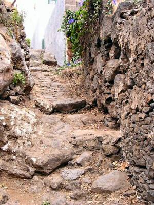 Camino de la Vigen