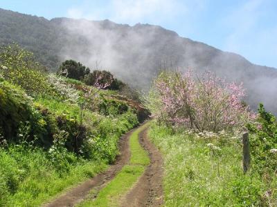 El Derabado