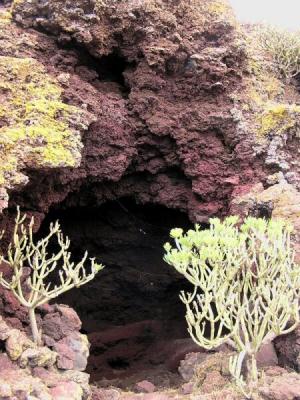 El Monte de Cuevas