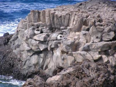 Charco Manso