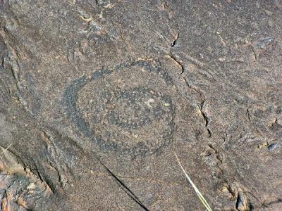 El Julan - Petroglyphs