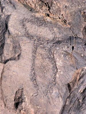 El Julan - Petroglyphs