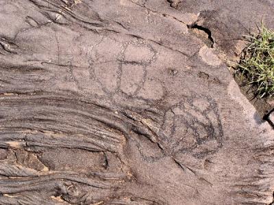 El Julan - Petroglyphs