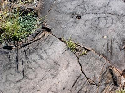 El Julan - Petroglyphs