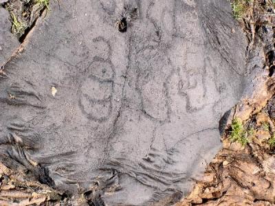 El Julan - Petroglyphs