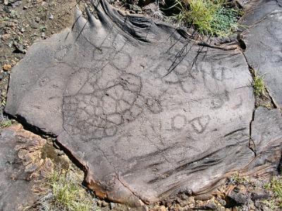 El Julan - Petroglyphs