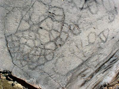 El Julan - Petroglyphs