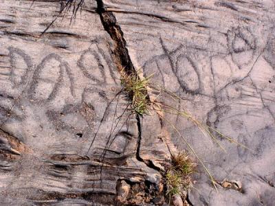 El Julan - Petroglyphs