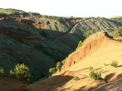 Region of Arbol Santo