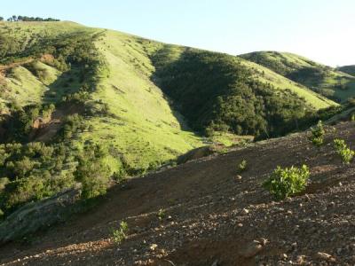 Region of Arbol Santo