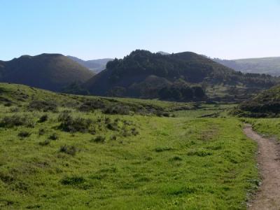 Region of Arbol Santo