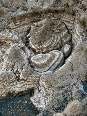 Saltrings