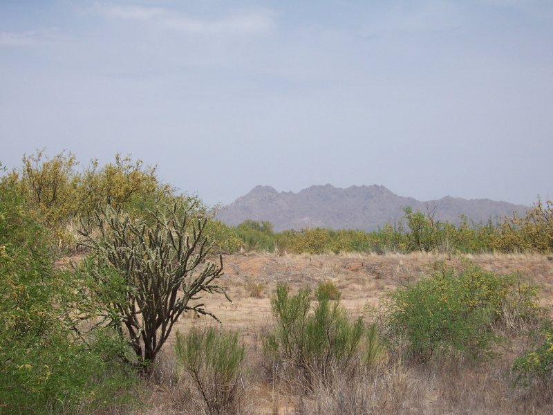 arizona desert