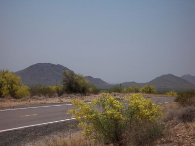 arizona desert