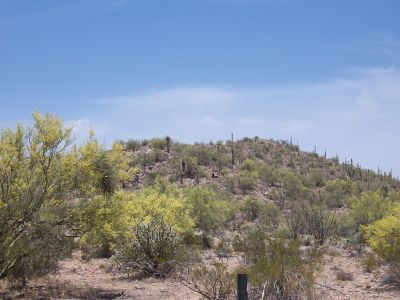 arizona desert