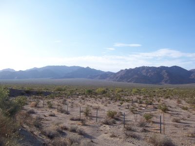 arizona desert scenery