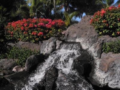 Hawaii 5-09-2006-0290.jpg