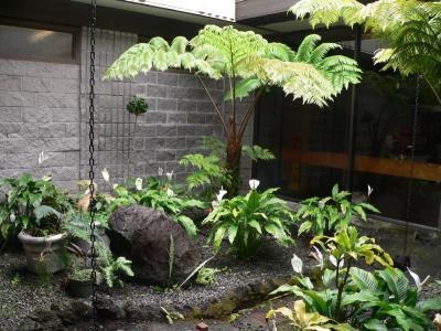 Hawaii 5-09-2006-0720.jpg