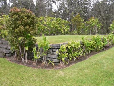 Hawaii 5-10-2006-0480.jpg