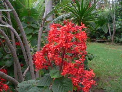 Hawaii 5-12-2006-0770.jpg