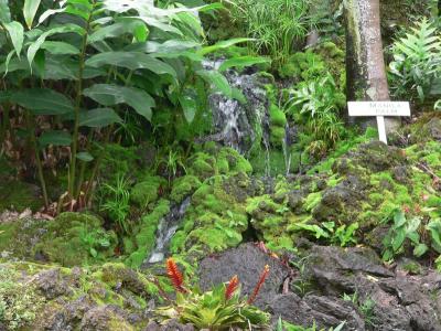 Hawaii 5-12-2006-0930.jpg