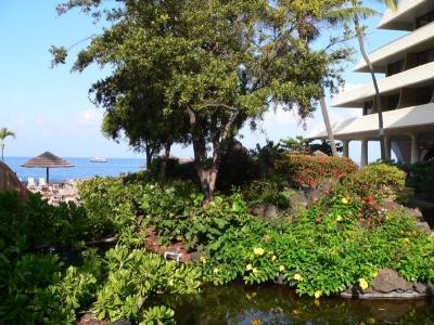 Hawaii 5-13-2006-0070.jpg
