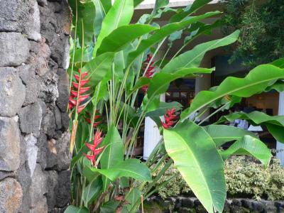Hawaii 5-13-2006-0110.jpg