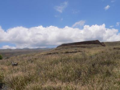 Hawaii 5-13-2006-0820.jpg