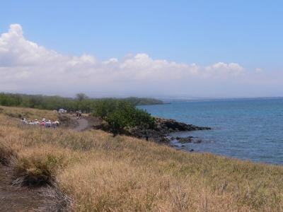 Hawaii 5-13-2006-0830.jpg