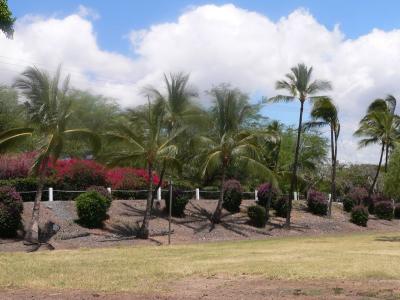 Hawaii 5-13-2006-0860.jpg