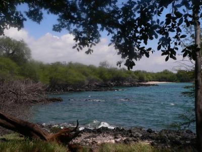 Hawaii 5-13-2006-0960.jpg