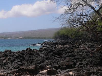 Hawaii 5-13-2006-0990.jpg